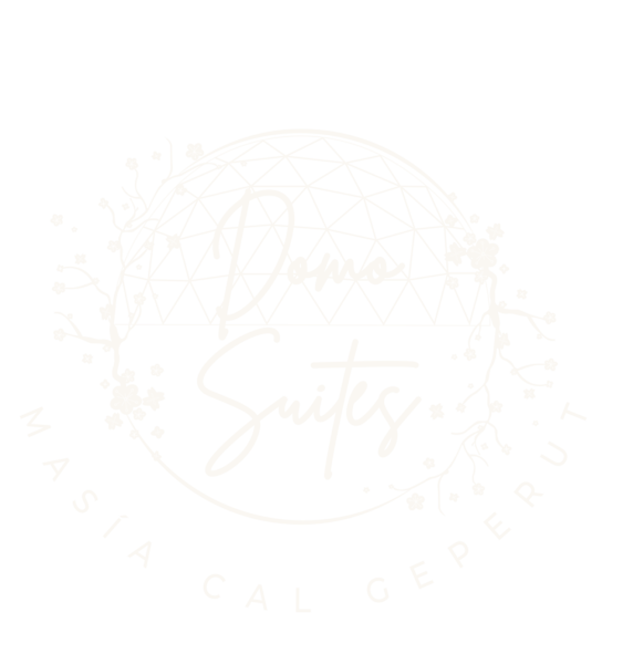 Logo Domosuites full
